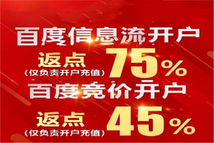 成功秘诀：竞价推广公司案例深度解析